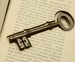 Back door key